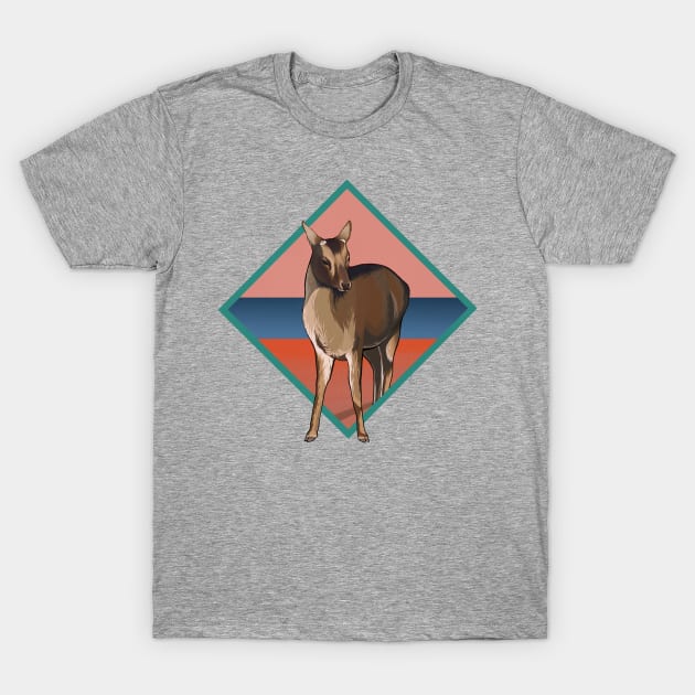 Miyajima Deer T-Shirt by NelidaZubia